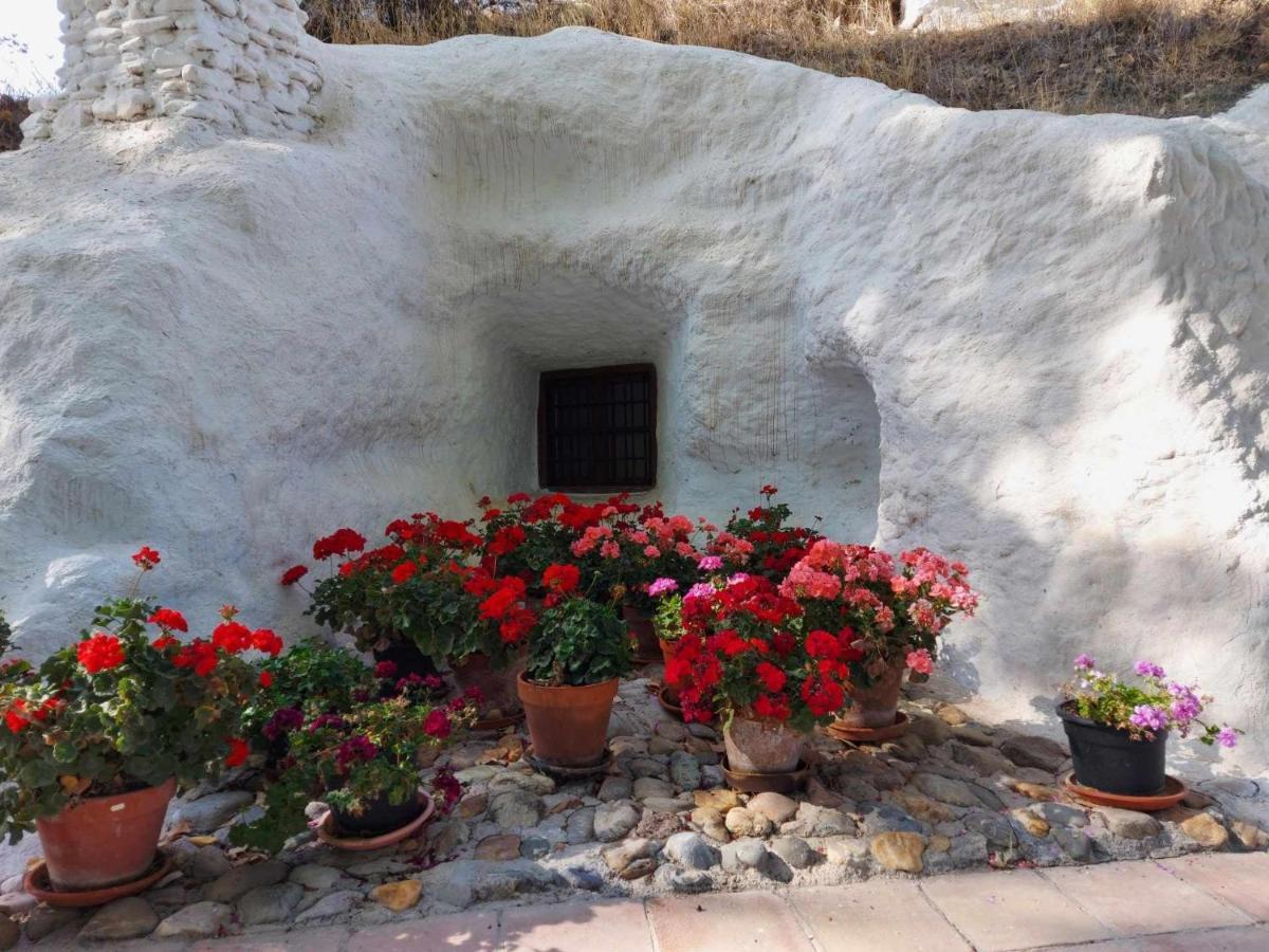 Cueva El Guindas バサ エクステリア 写真