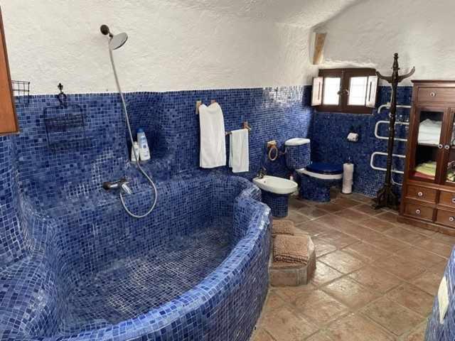 Cueva El Guindas バサ 部屋 写真